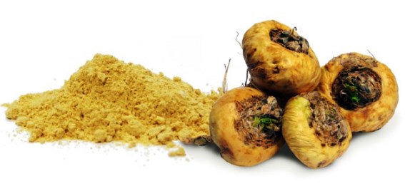 ¿Cómo consumir la Maca Peruana?