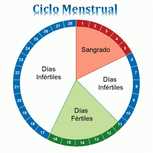 ¿Cuáles son los días infértiles de una mujer?