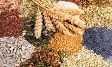 ¿Dónde se encuentran los carbohidratos?