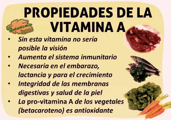 ¿Cuál es la importancia de la Vitamina A en la dieta?