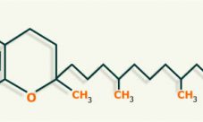 ¿Cuál es el nombre de la vitamina e?
