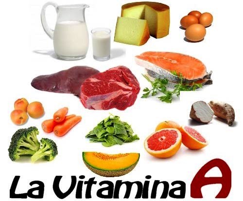 ¿Qué alimentos contienen vitamina A? - Vivir mejor