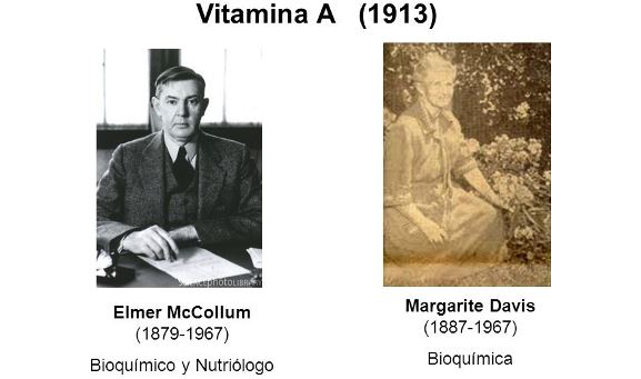 ¿Quién descubrió la Vitamina A?