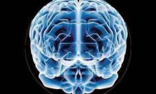 El dolor y el placer se forman en la misma región del cerebro