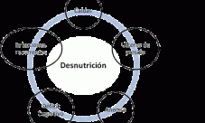 Enfermedades causadas por la desnutrición