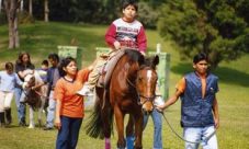 Equinoterapia