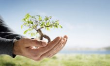 30 formas de detener el calentamiento global