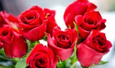 Flores: Una expresión de amor