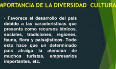 ¿Cuál es la importancia de la diversidad cultural?