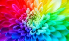 Cromoterapia: Colores que curan