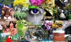 Relación entre diversidad biológica y diversidad cultural