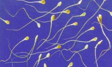 ¿El semen humano pierde propiedades?