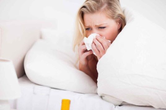 ¿Qué es la gripe?