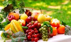 ¿Qué son los antioxidantes y dónde se encuentran?
