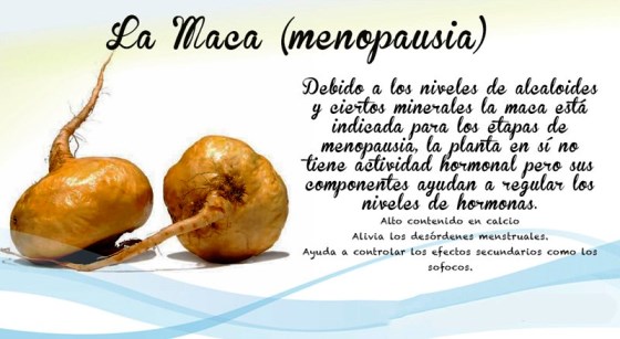 ¿Qué enfermedades cura la maca peruana?