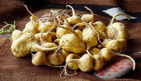 ¿Es efectiva la maca peruana?