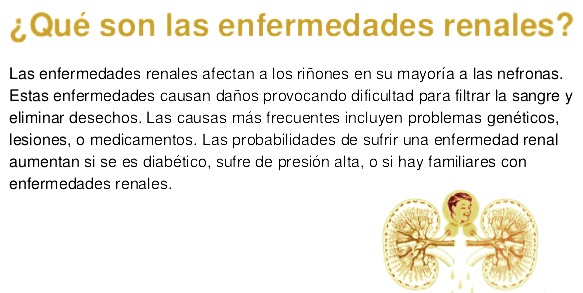 ¿Cuáles son las enfermedades renales?