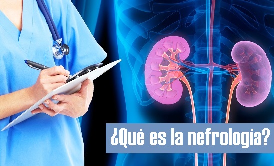 ¿Qué es la nefrología?
