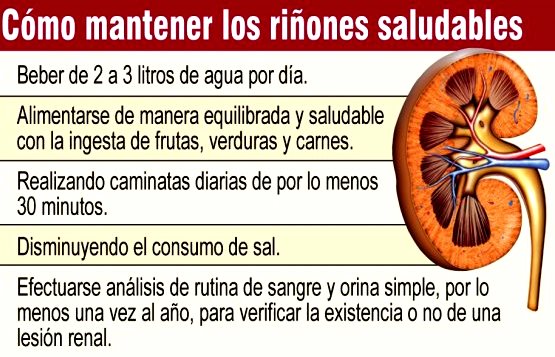 ¿Cuál es el tratamiento de la insuficiencia renal?