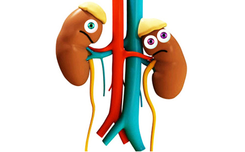 ¿Qué es la insuficiencia renal aguda pediatría?