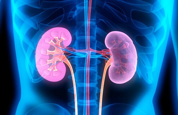 ¿Qué es la insuficiencia renal bilateral?