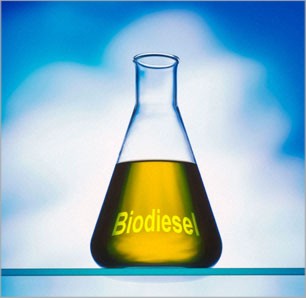 El biodisel, una propuesta ecológica energética