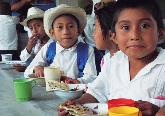 Soluciones para la desnutrición infantil en México
