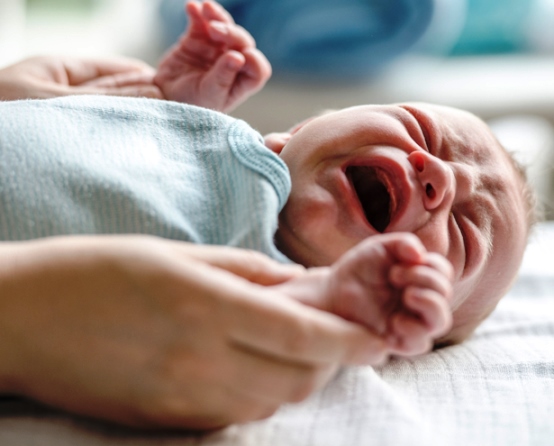 Los orígenes del dolor en bebés prematuros